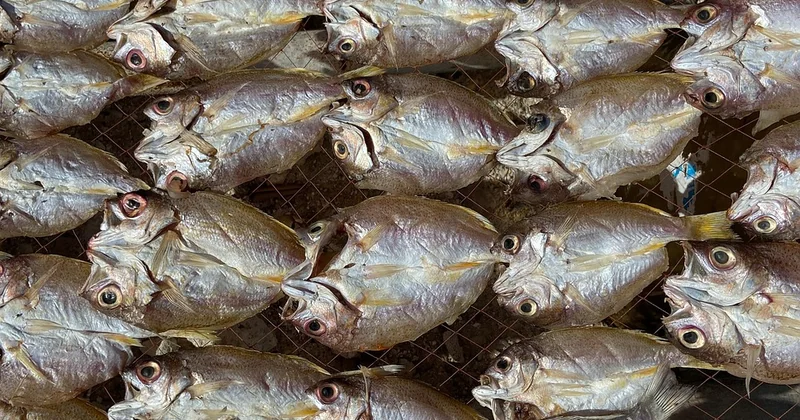 Sans frigo, quelle durée de conservation ?
