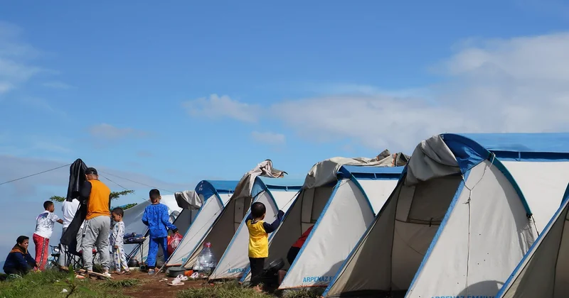 Protection active du camp : les techniques qui fonctionnent vraiment