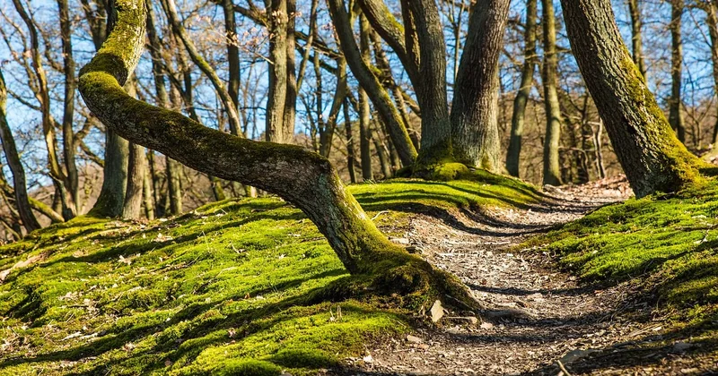 La question de l'accessibilité : ces lieux sont-ils ouverts à tous ?